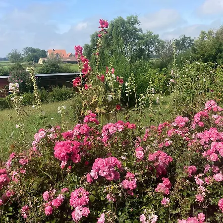 Casa vacanze Kiek In T Land Pellworm